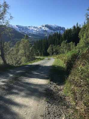 Mountain trail winding through lush green forests near the ski lodgings.