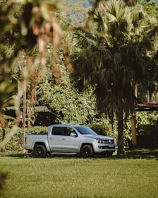 white and blue chevrolet crew cab pickup truck parked on green grass field during daytime