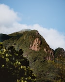 green trees on brown mountain under white clouds during daytime