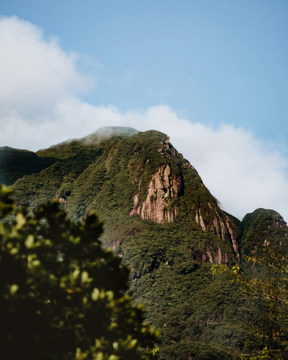 green trees on brown mountain under white clouds during daytime