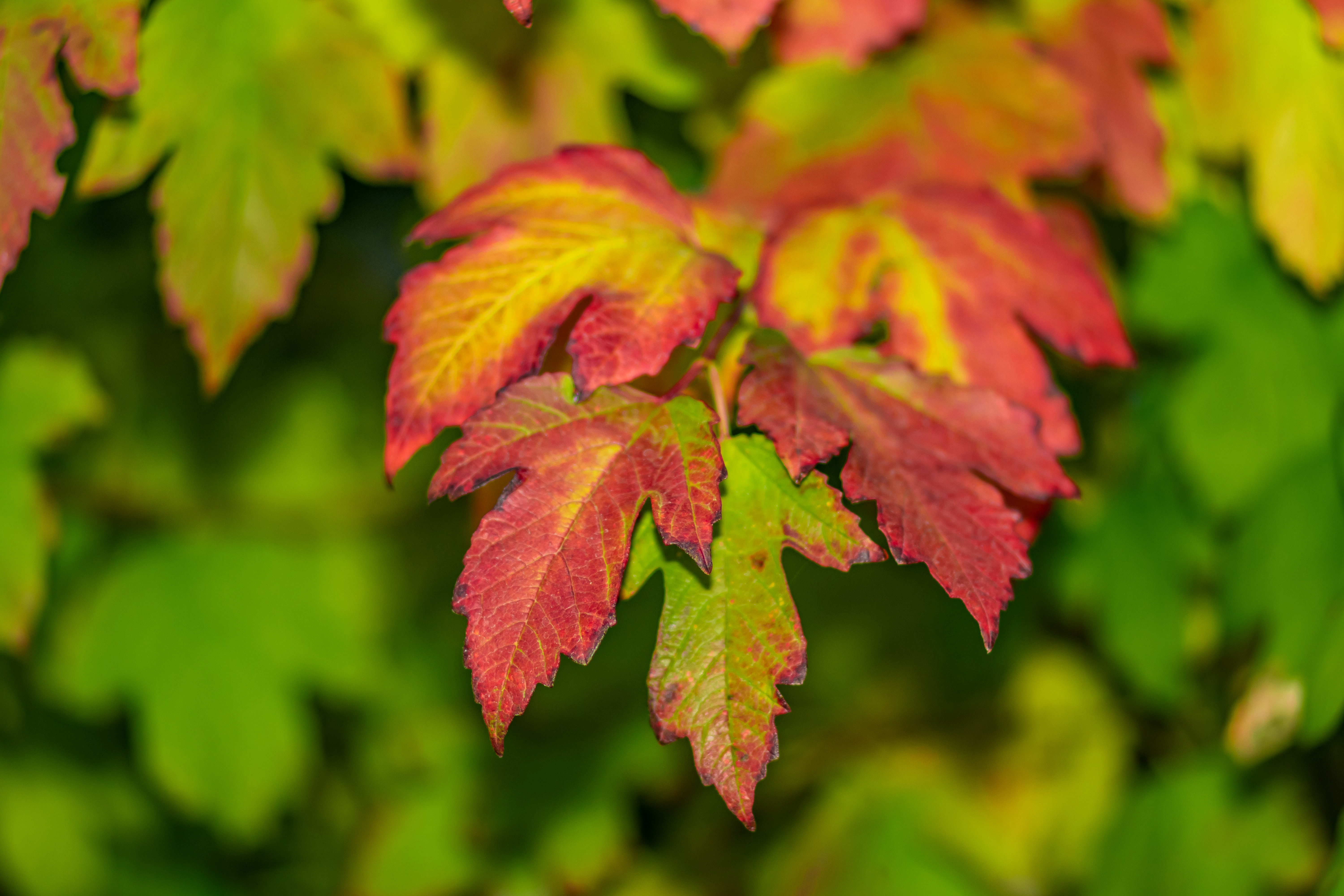 Photo by rs2photography