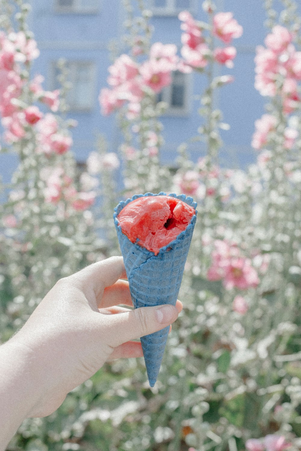 person holding blue and red ice cream