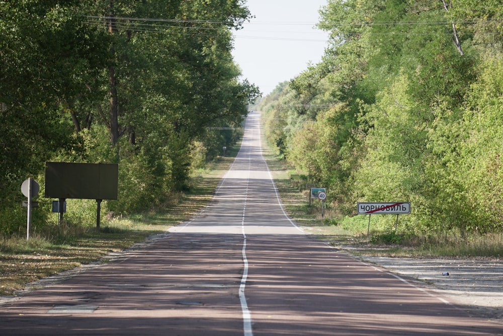 gray concrete road between green trees during daytime