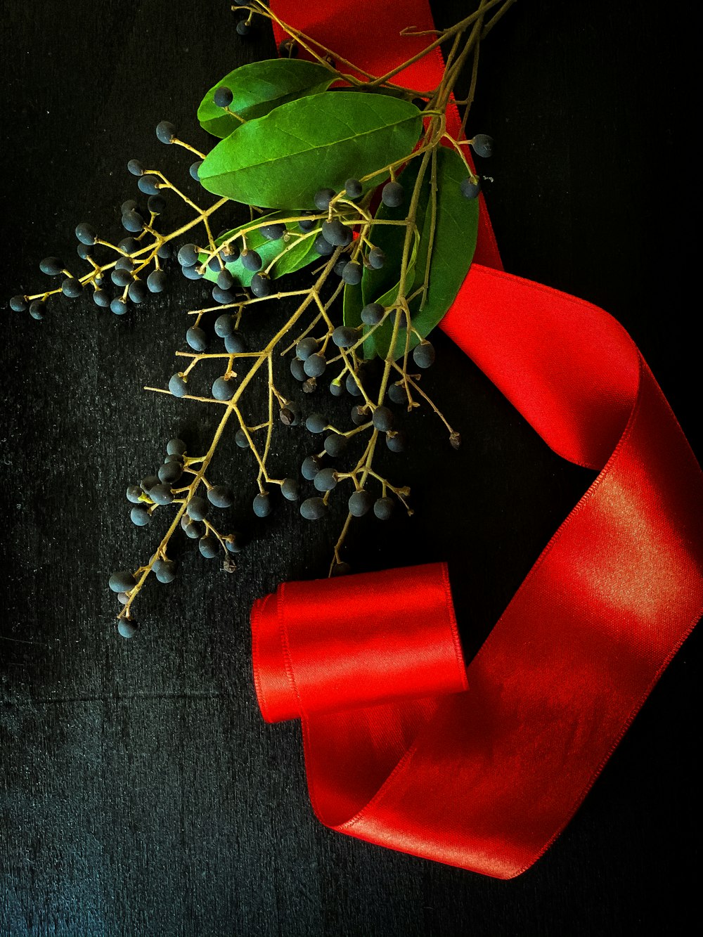 green plant on red ribbon