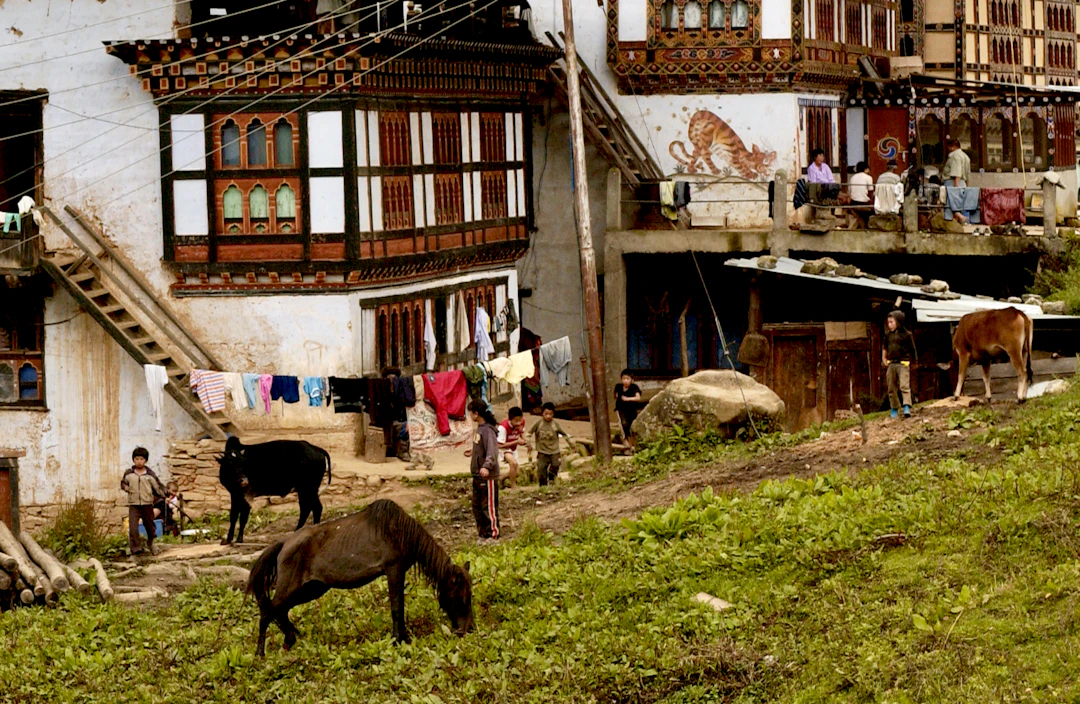 Bután