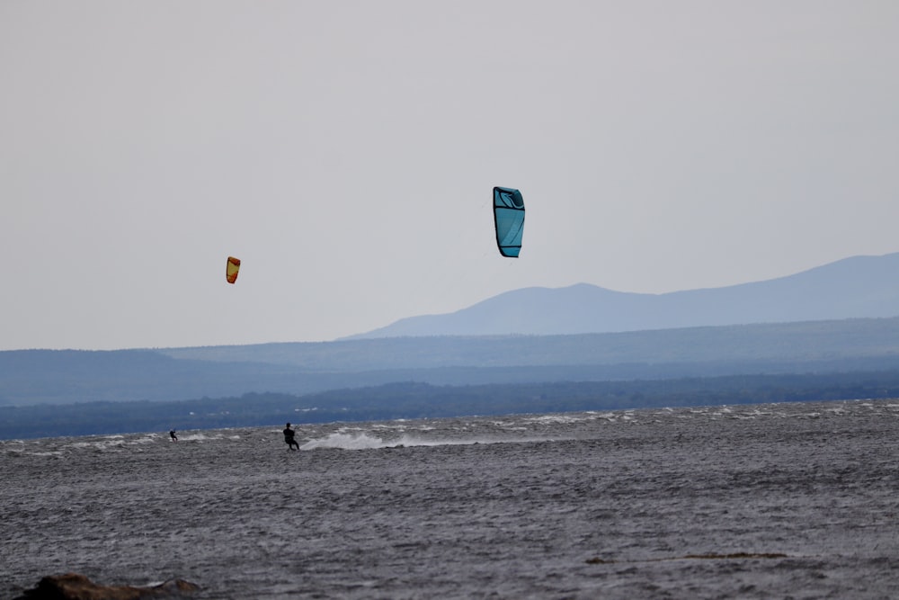 people walking on beach during daytime