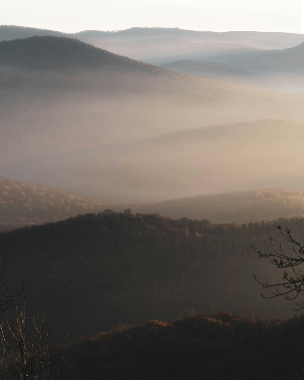 brown trees on mountain under white clouds during daytime