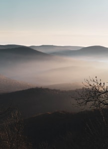 Morning Mist