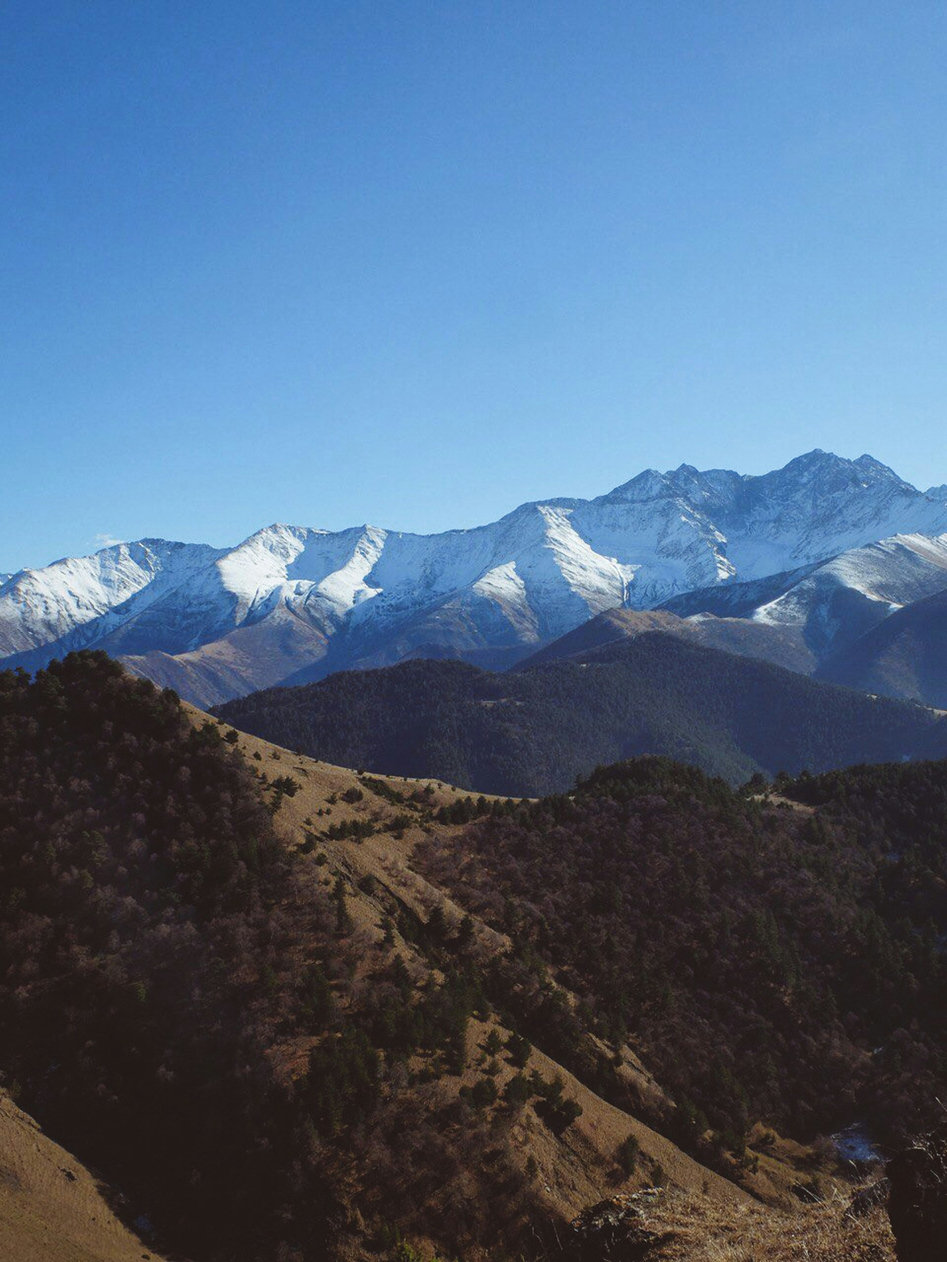 Photo by ninapendragon