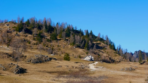 A serene landscape featuring a small house nestled in a valley surrounded by a hill with sparse trees. The sky is clear and bright blue, indicating a sunny day. The vegetation includes mainly brown grass and patches of green coniferous trees.
