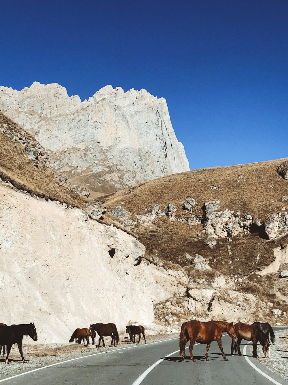 Montagna rocciosa marrone sotto il cielo blu durante il giorno