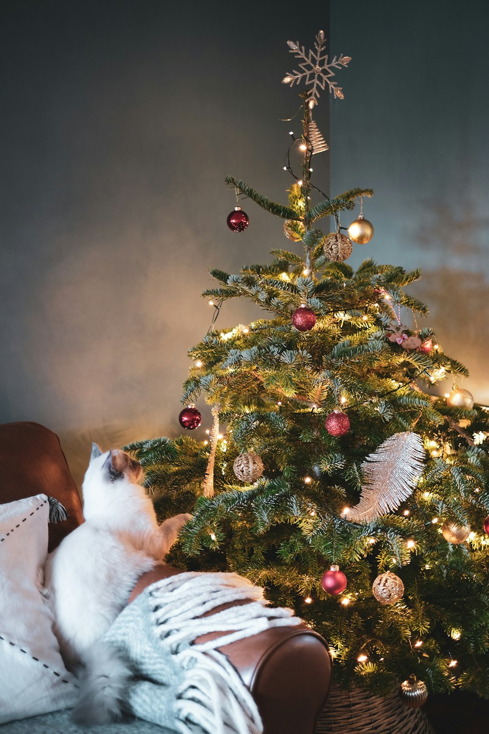 white and brown cat on white textile beside green christmas tree