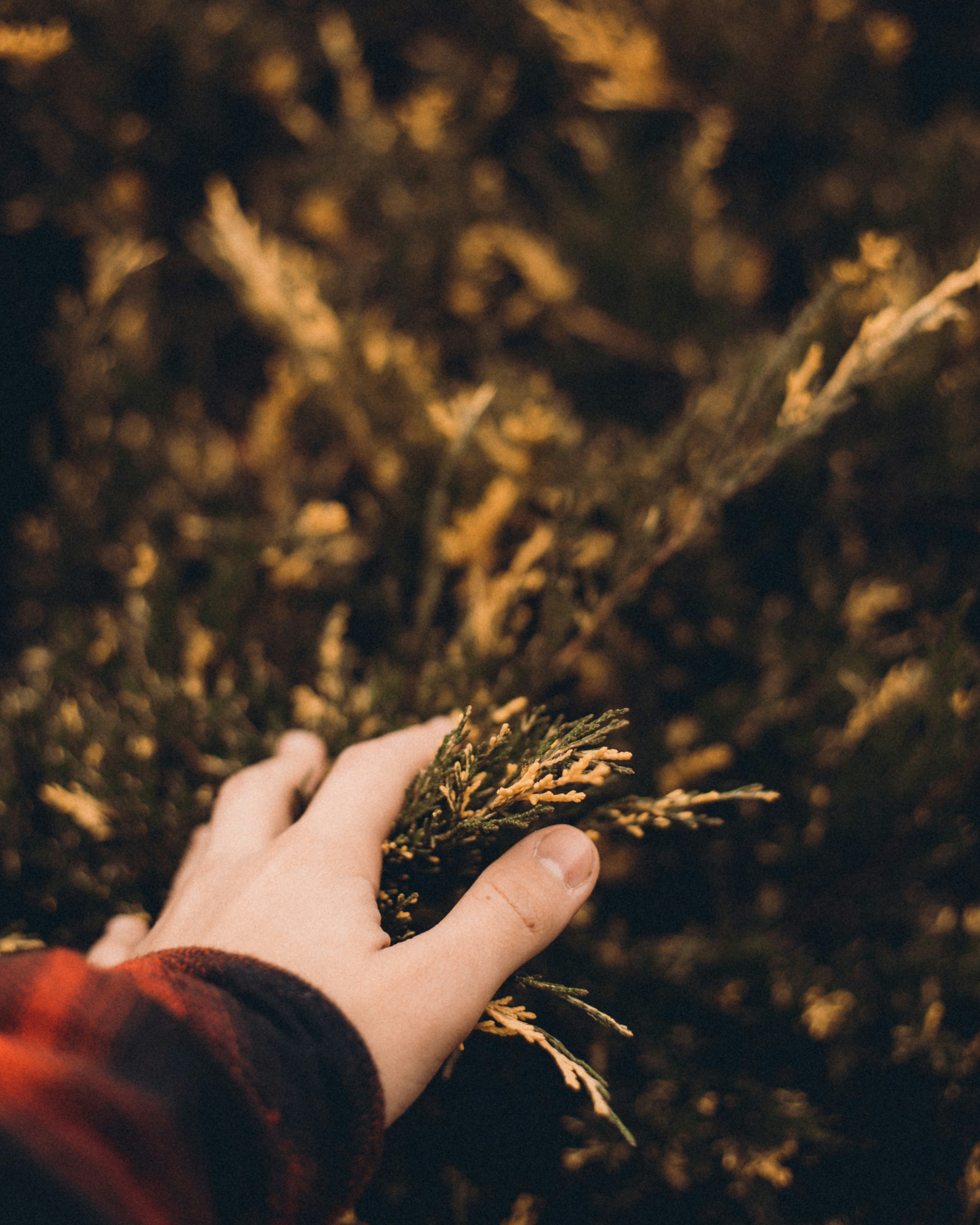 Photo by tobolenkoph