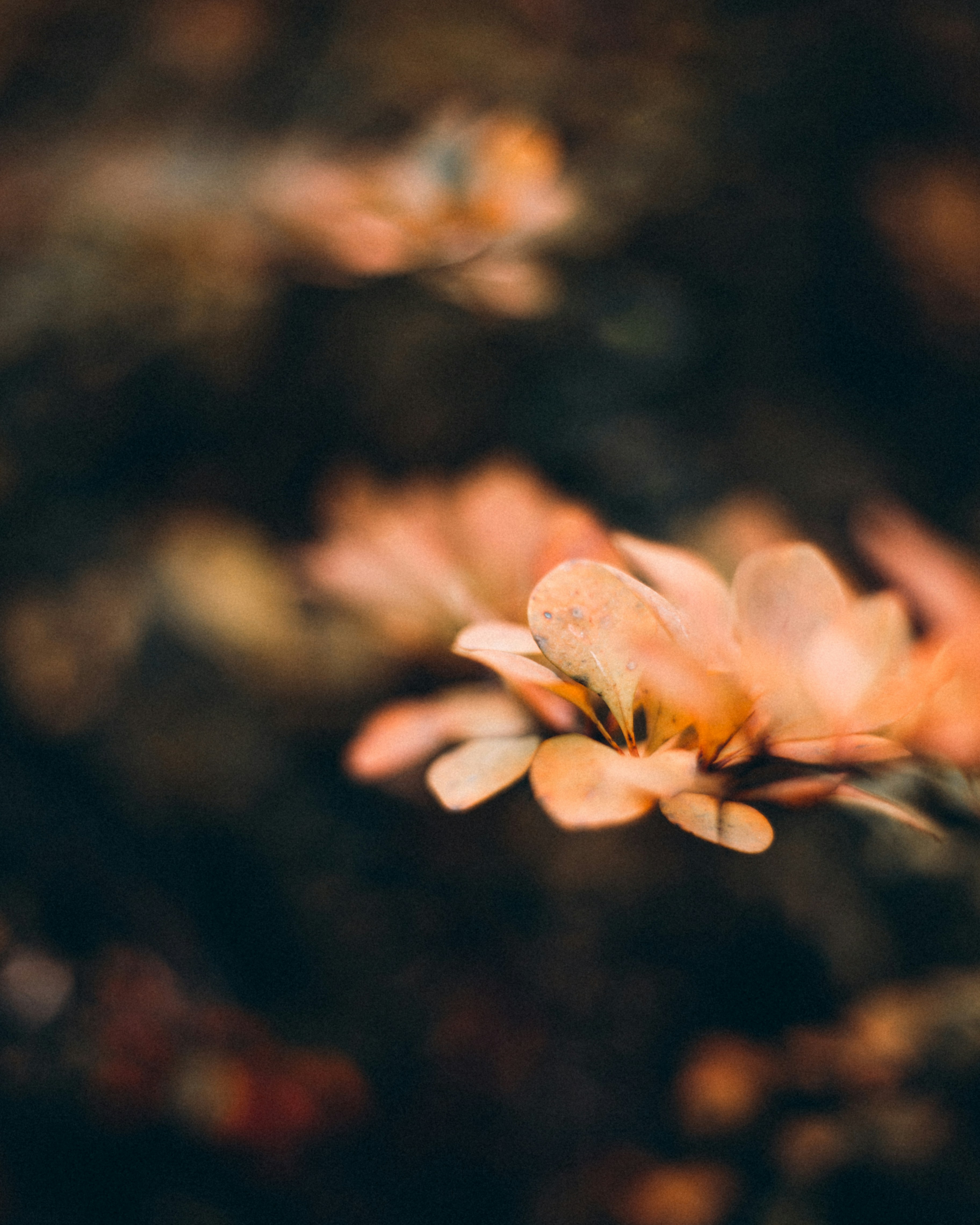 Photo by tobolenkoph