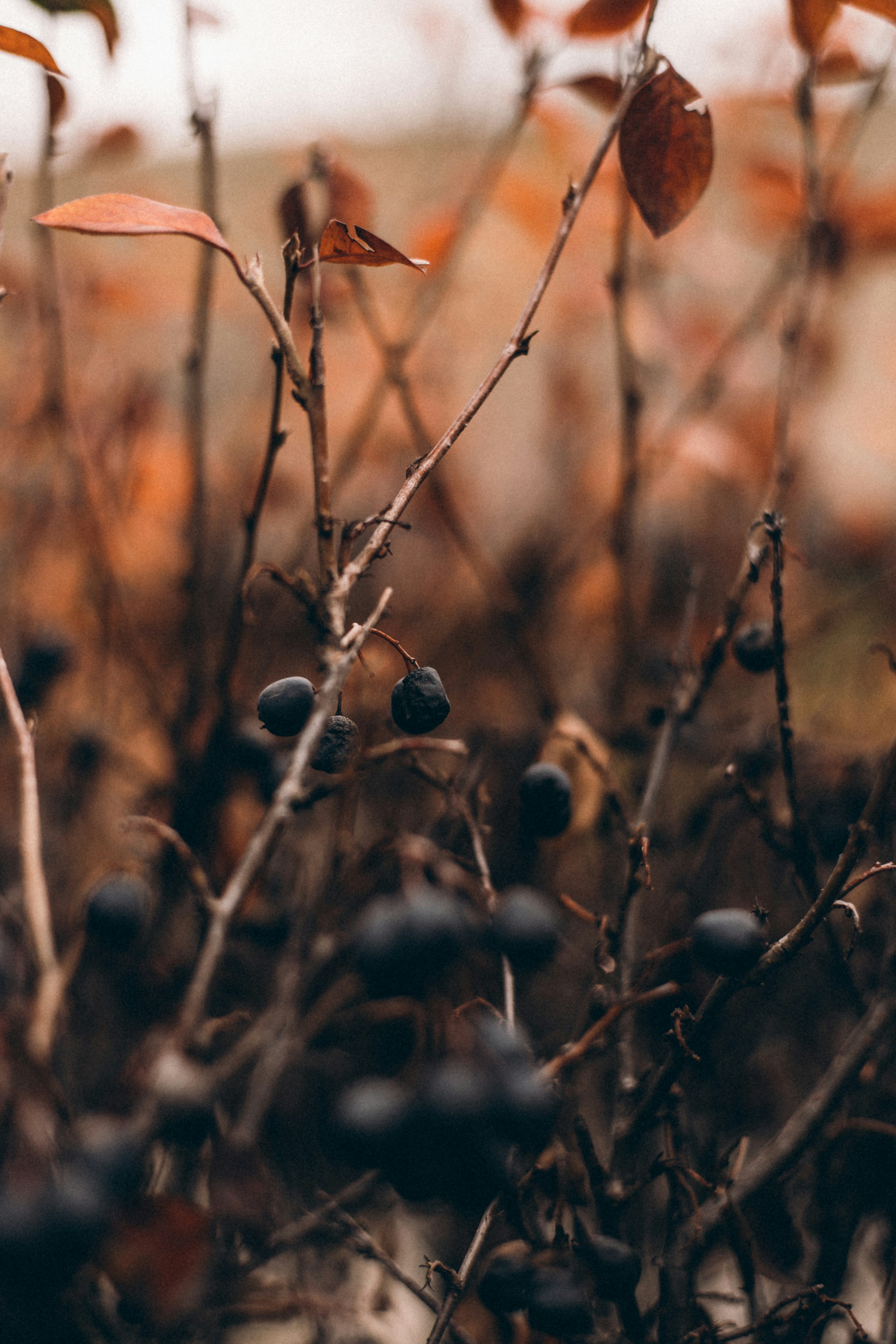 Photo by tobolenkoph