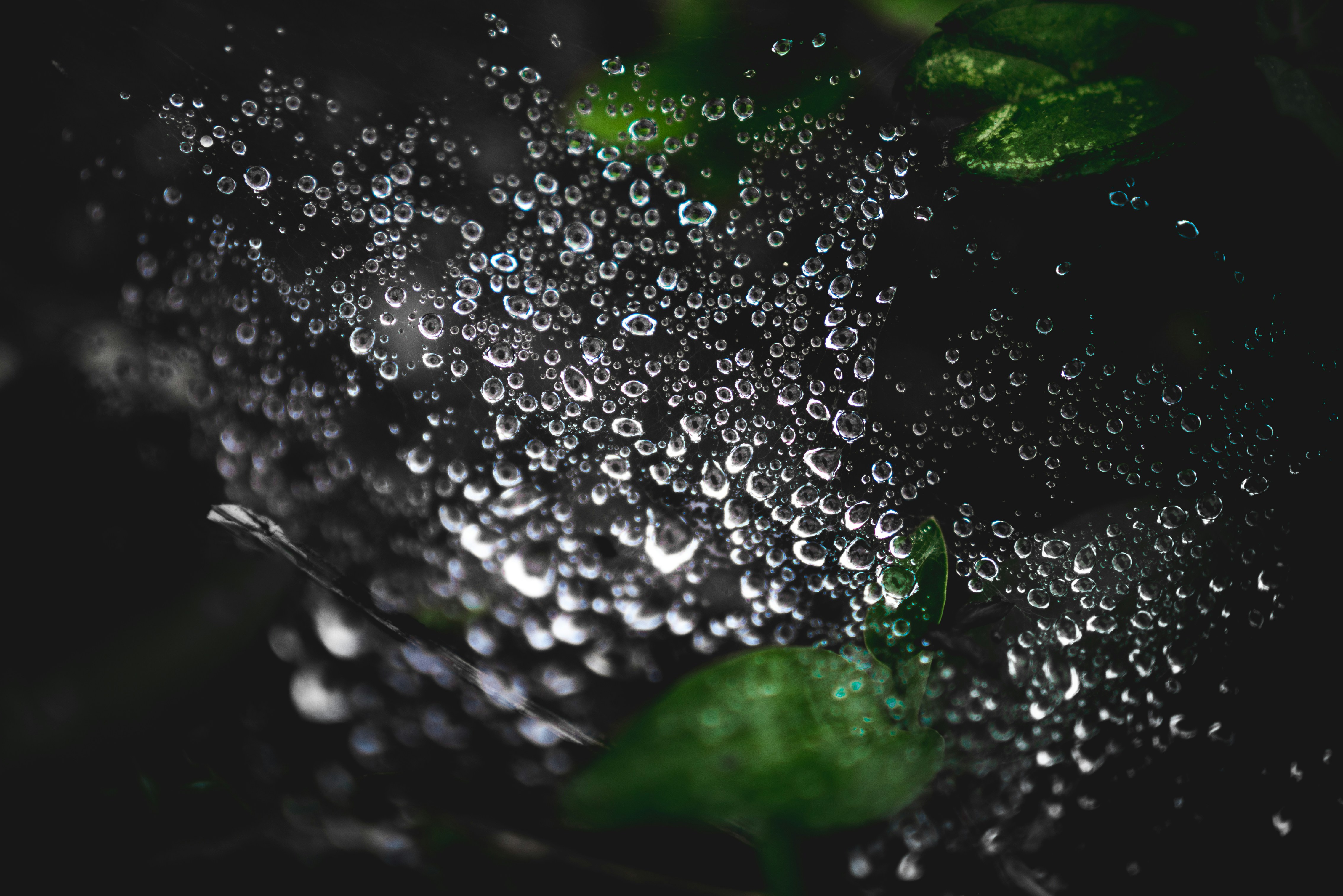 Photo by fikry_anshor