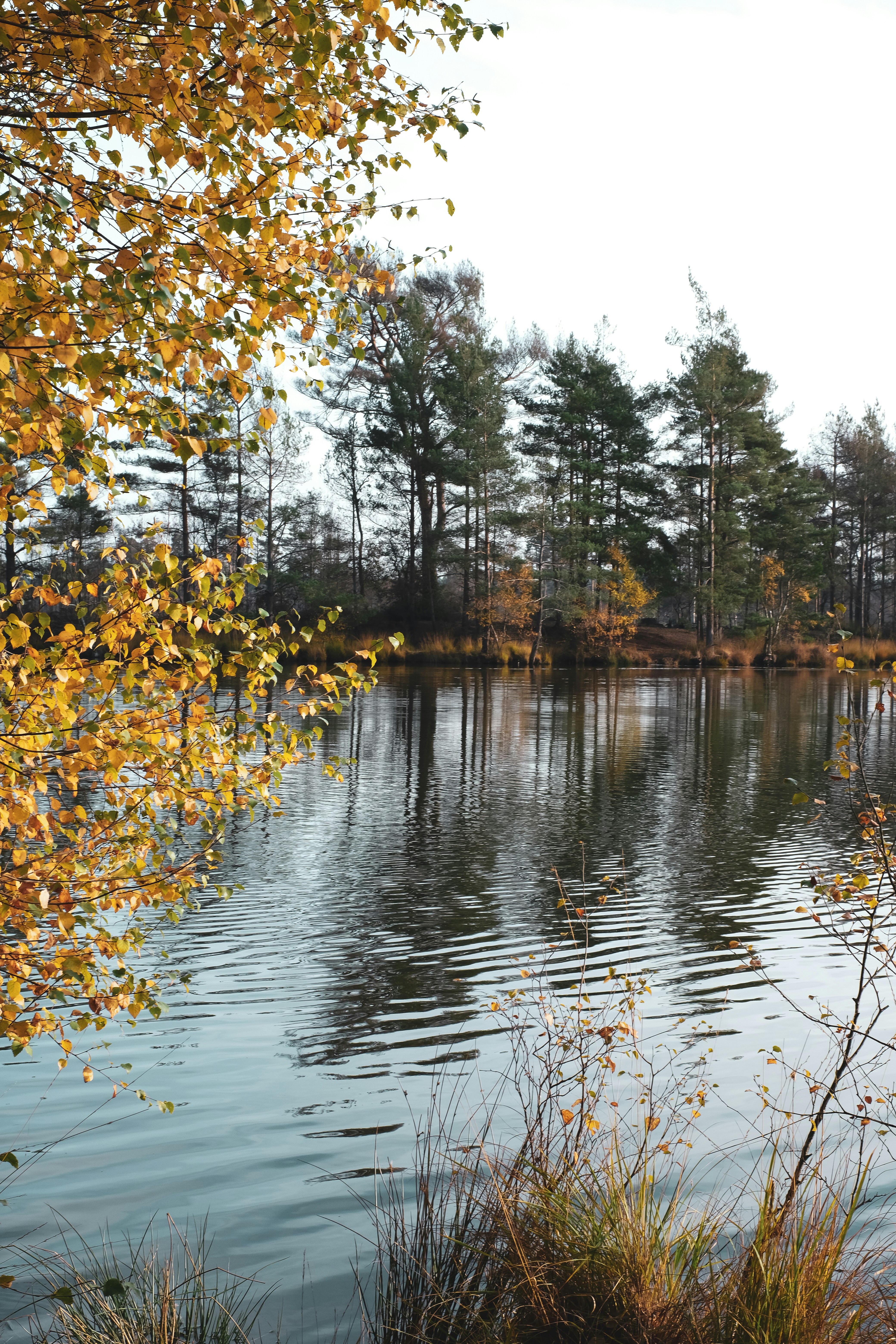 Photo by b_elena