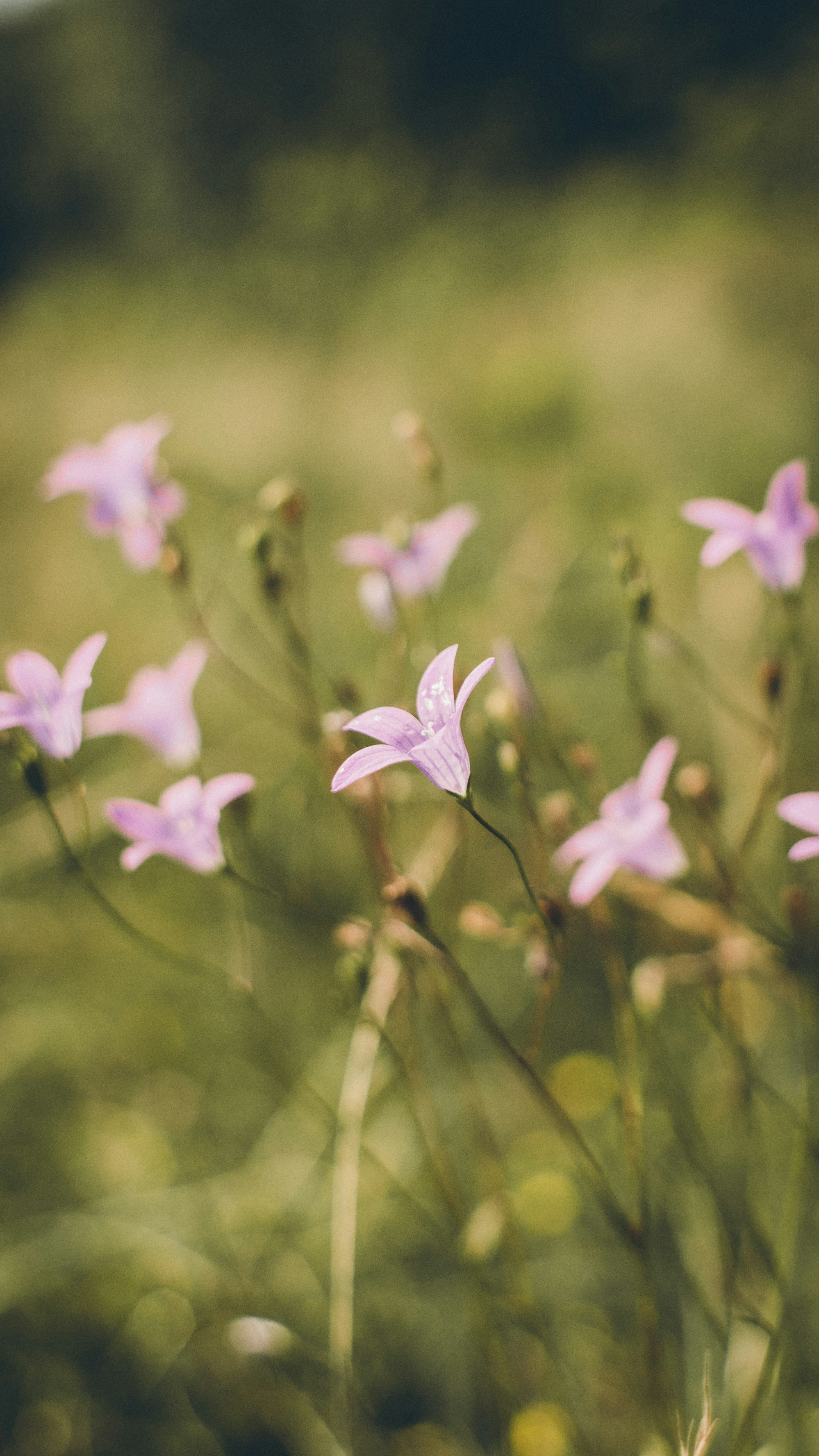 Photo by tobolenkoph