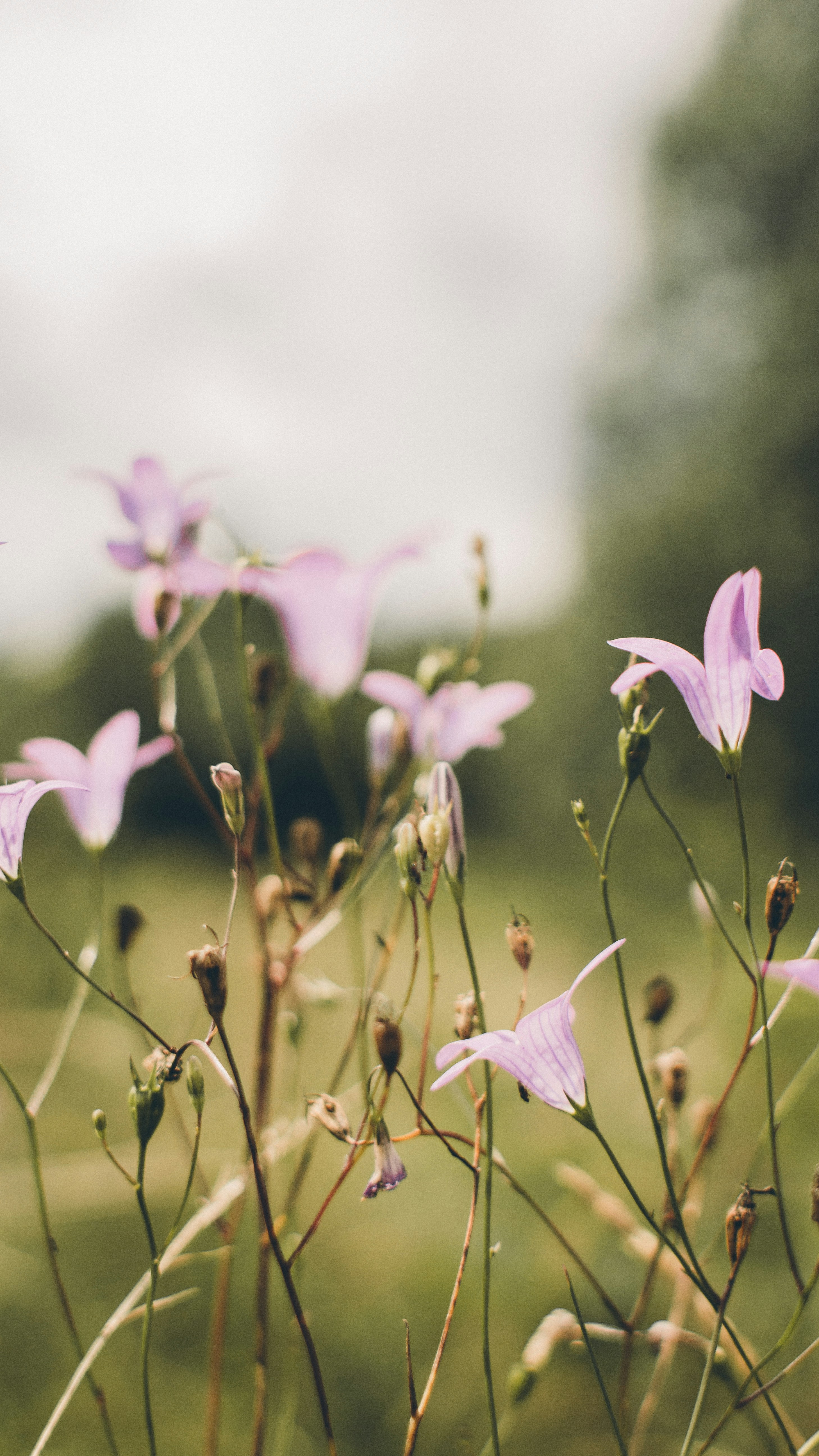 Photo by tobolenkoph