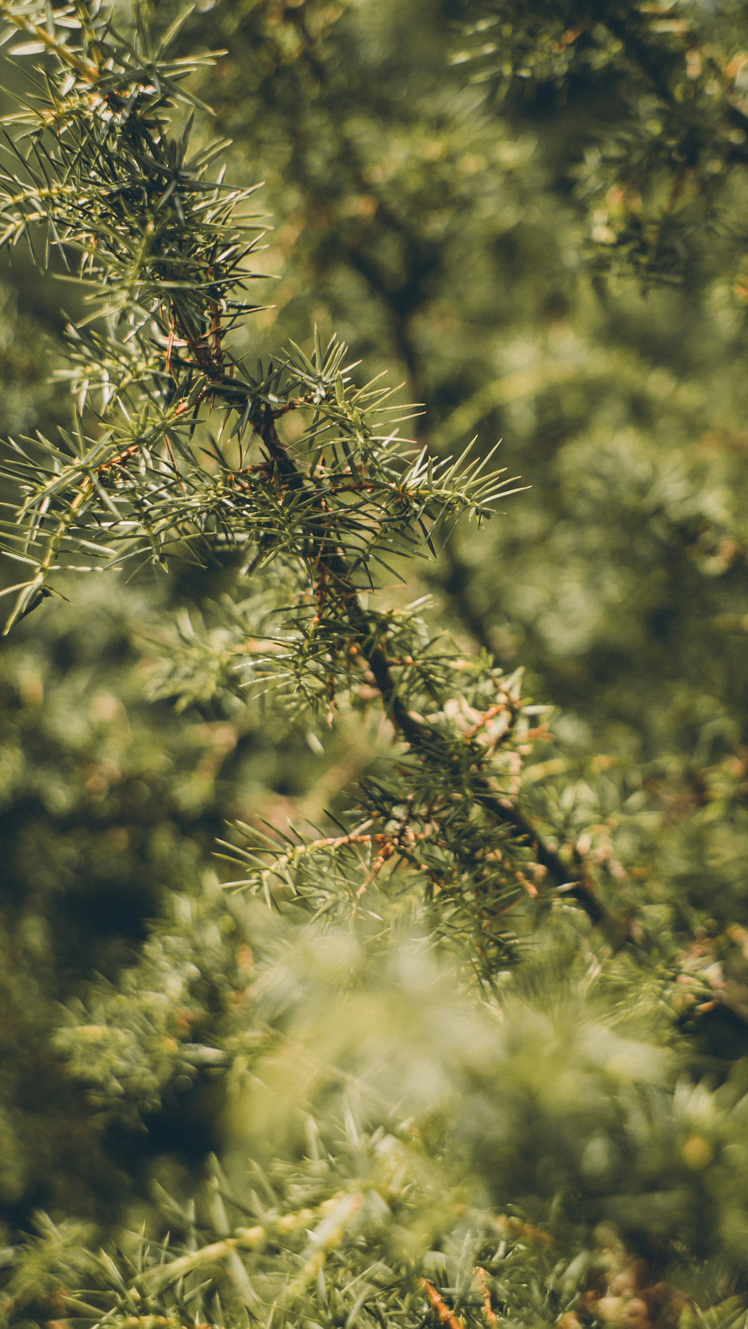 Photo by tobolenkoph