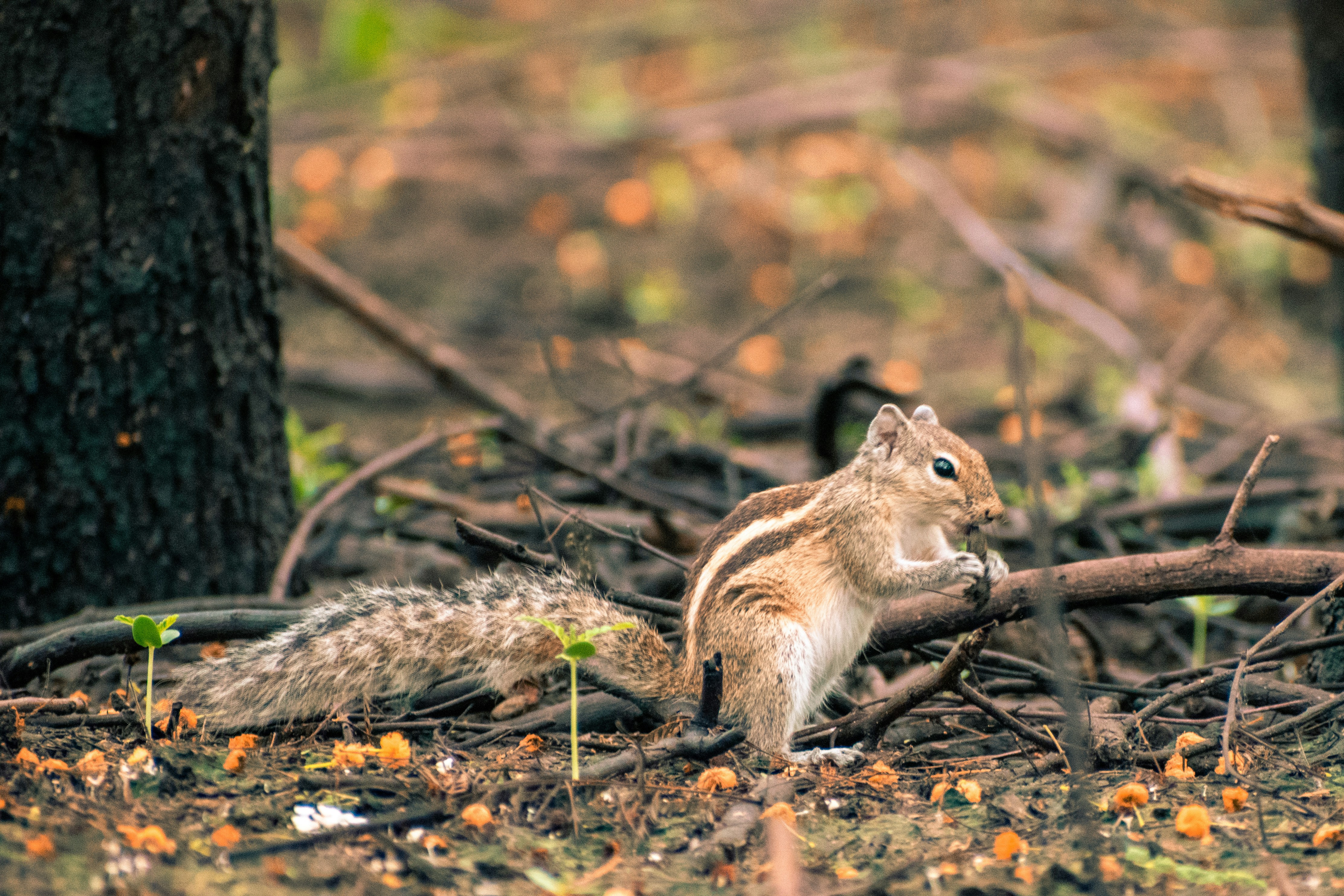 Photo by navi_photography