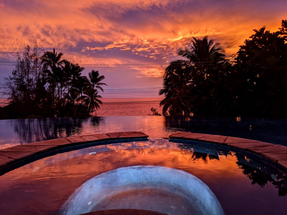 palm trees near body of water during sunset