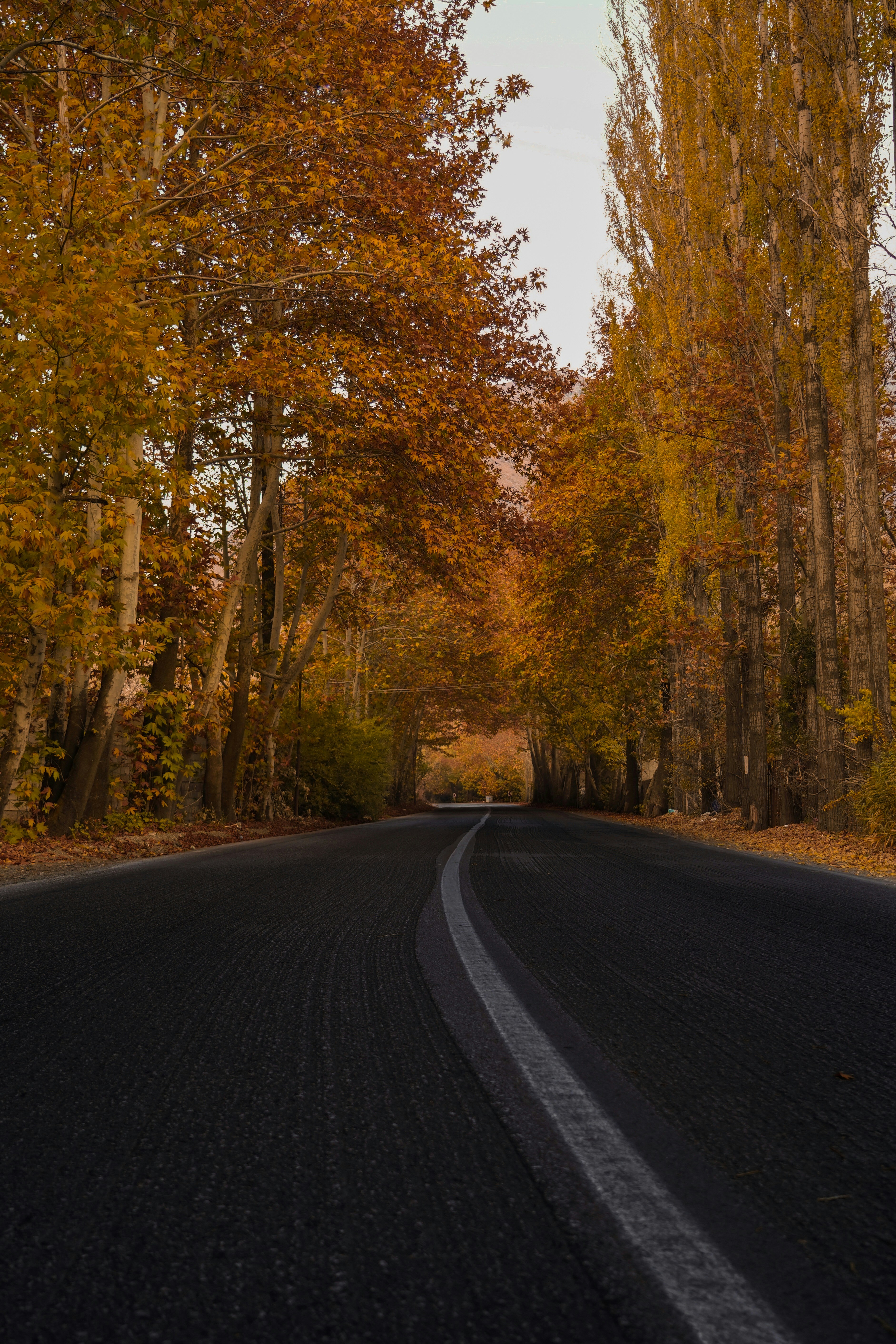 Photo by kiarash_mansouri