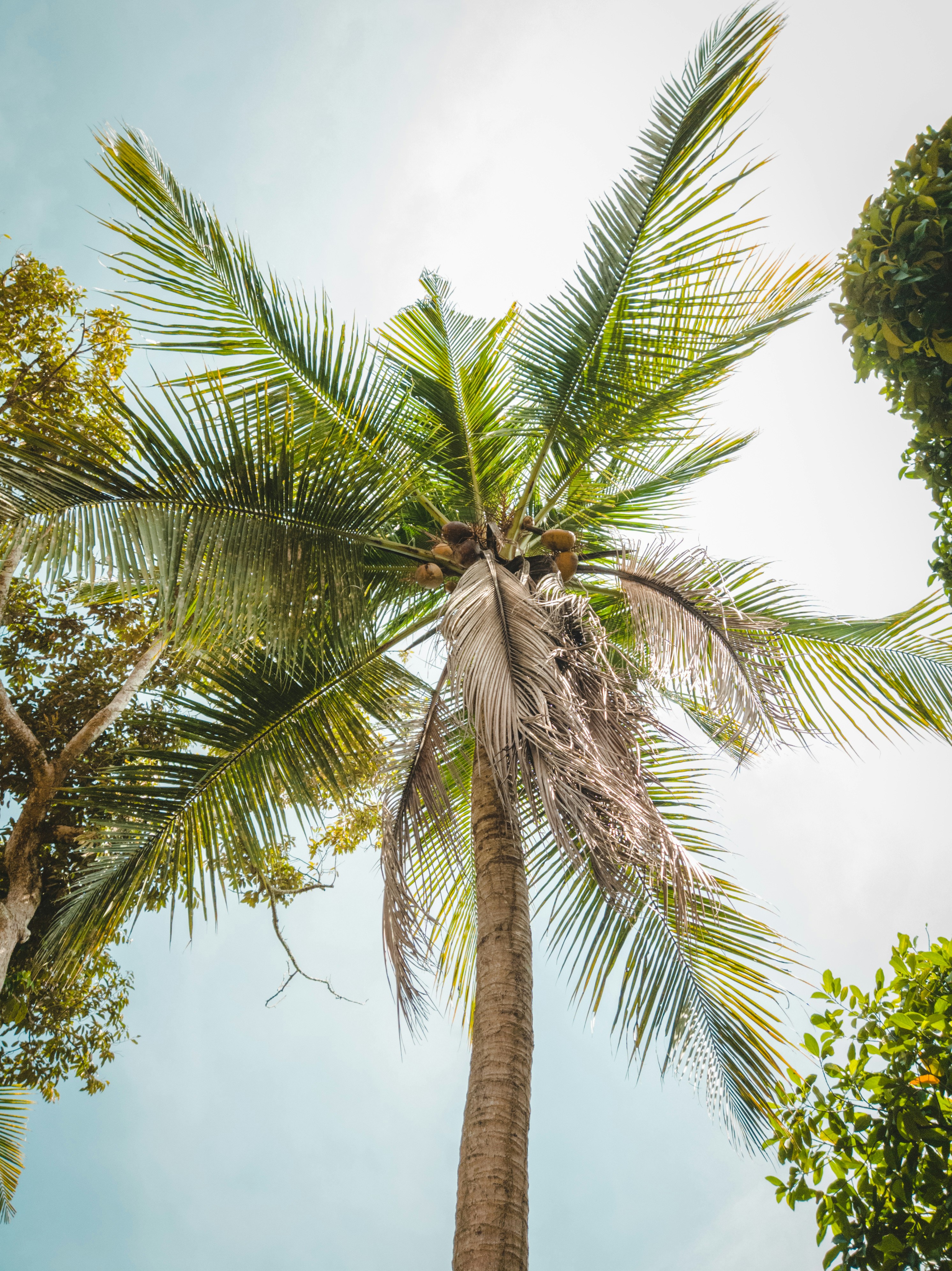 Photo by mynameisiknow