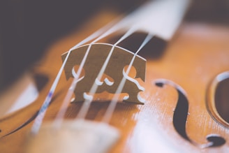 brown violin with musical notes