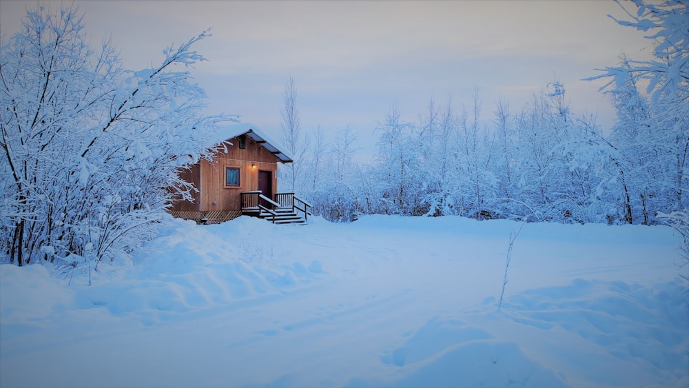 brown wooden house on snow covered ground