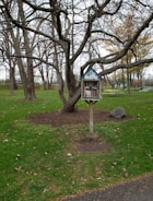 A vibrant little free library painted by community members in a sunny neighborhood park.