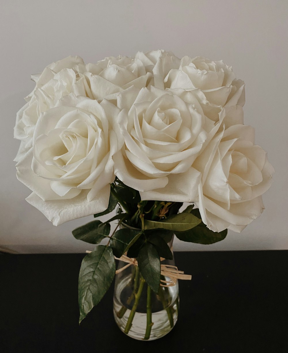 white rose in close up photography