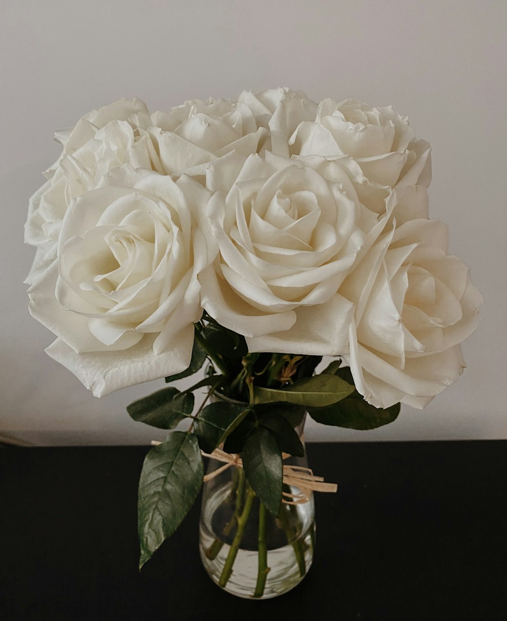 Rosa blanca en fotografía de primer plano