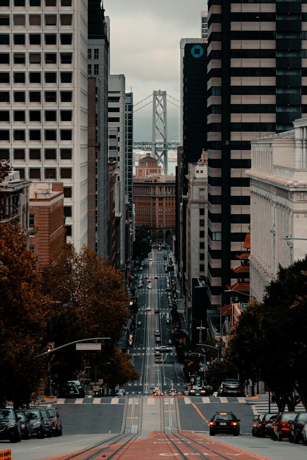 cars on road in between high rise buildings during daytime