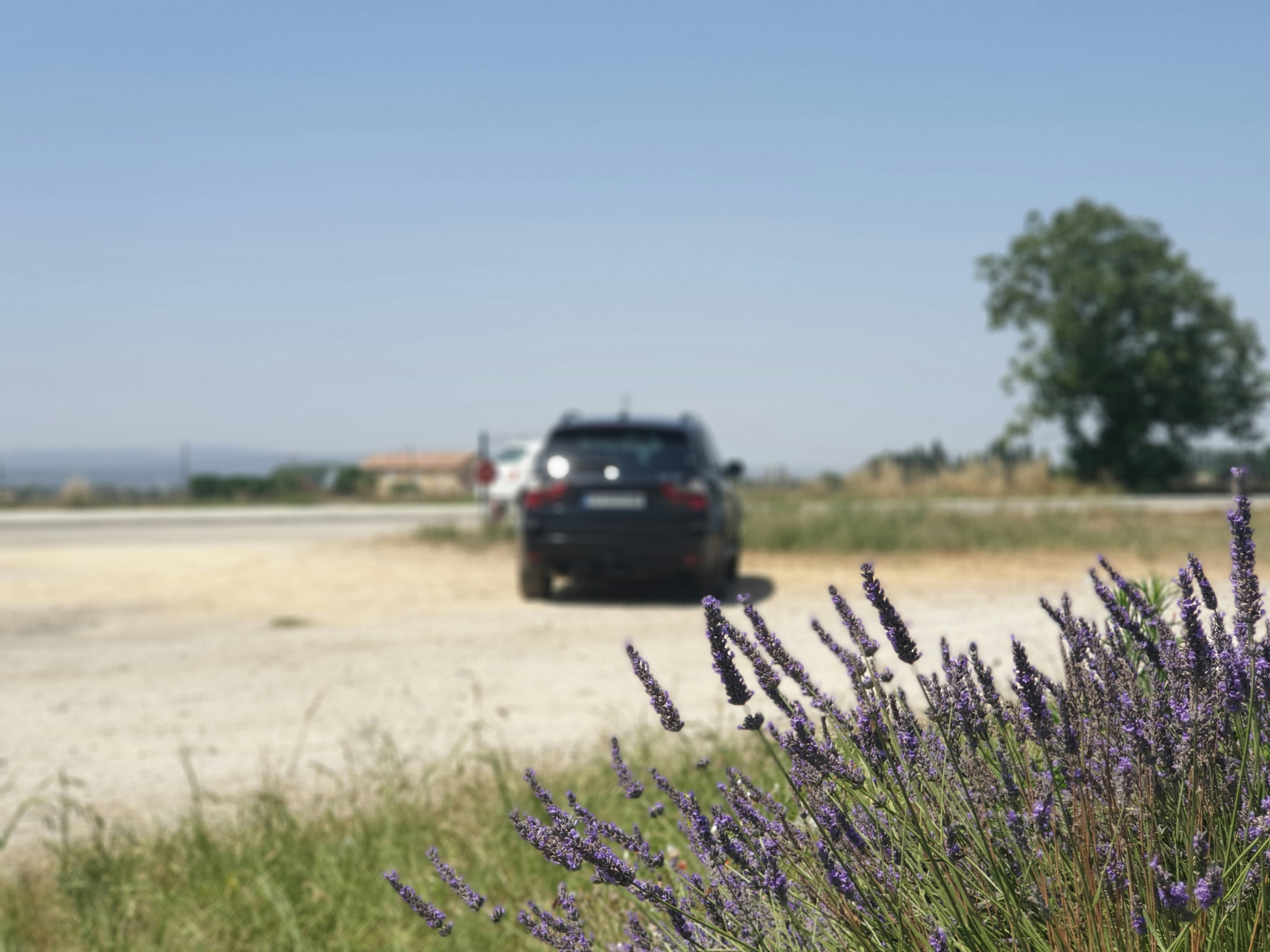 black suv on brown field during daytime