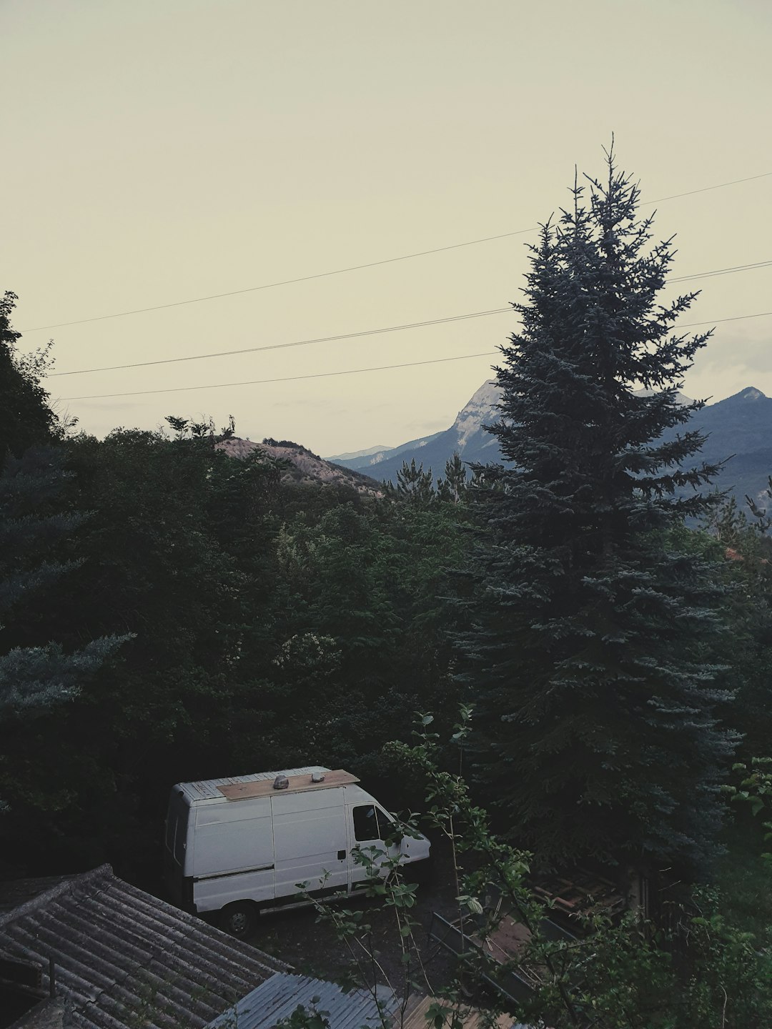 white and black van near green pine trees during daytime