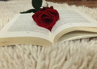 An open e-book with a delicate rose pressed between its pages, resting on a velvet fabric.