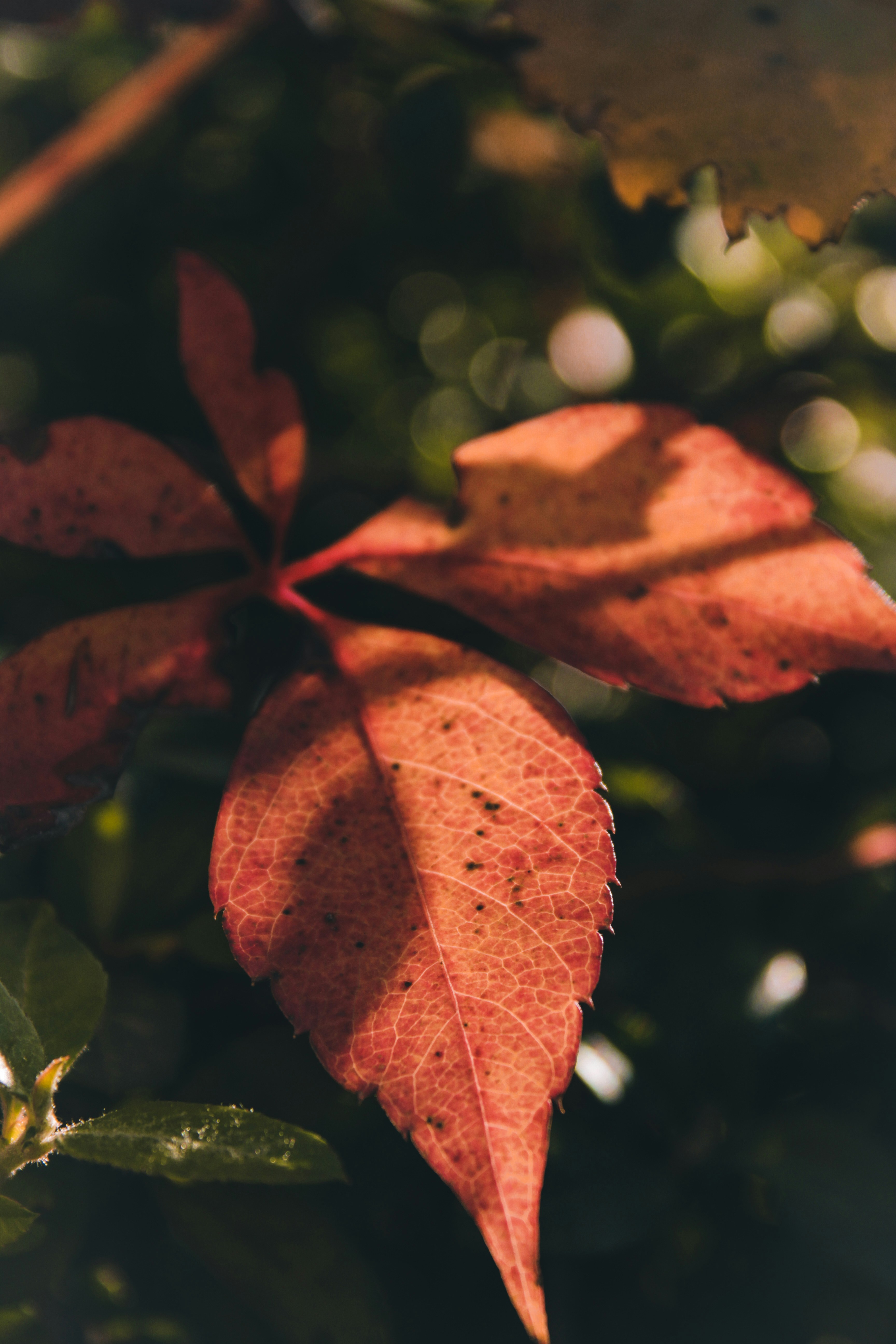 Photo by lensensational