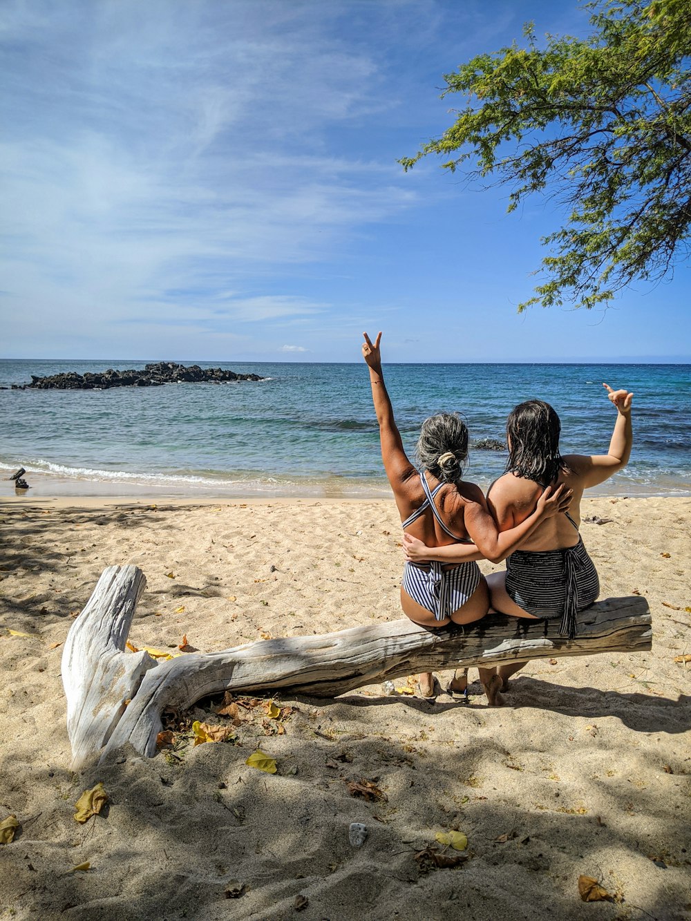 femme en bikini à rayures noires et blanches assise sur une bûche de bois marron sur la plage pendant la journée