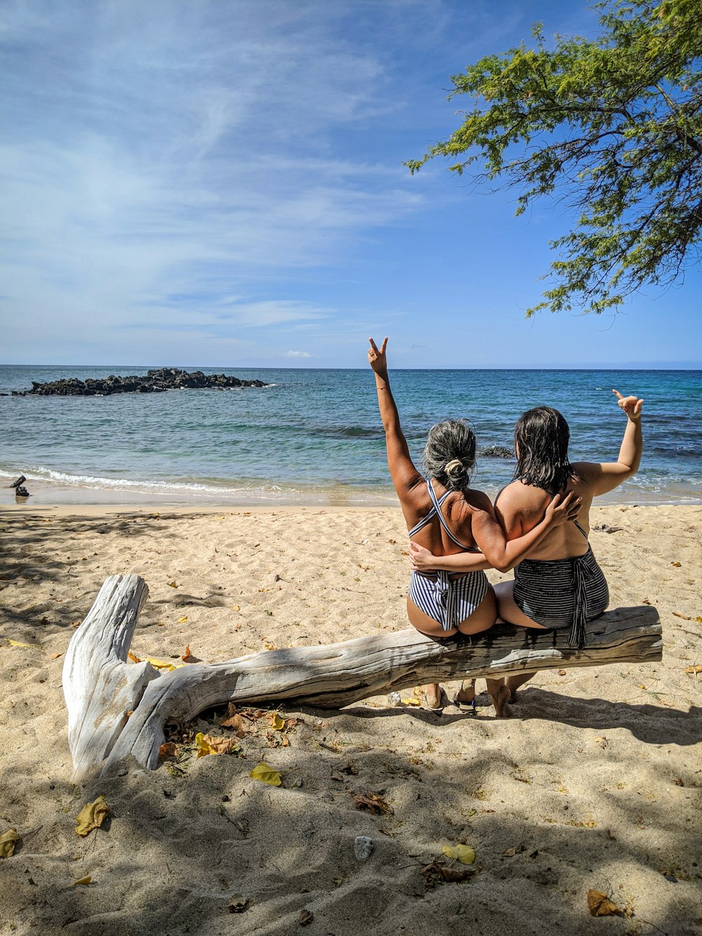 woman in black and white stripe bikini sitting on brown wooden log on beach during daytime