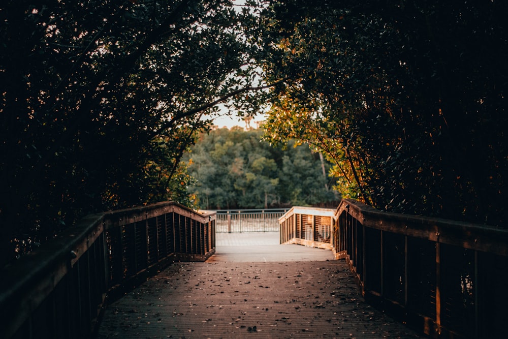 brown wooden bridge in between green trees during daytime