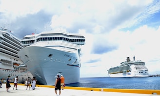 white cruise ship on sea during daytime