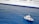 A small pilot boat navigates alongside a large white cruise ship. The ocean water is a rich blue, contrasting with the bright hull of the ship. The pilot boat is labeled 'PILOTO' and is equipped with several antennas and safety equipment.