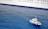 A small pilot boat navigates alongside a large white cruise ship. The ocean water is a rich blue, contrasting with the bright hull of the ship. The pilot boat is labeled 'PILOTO' and is equipped with several antennas and safety equipment.