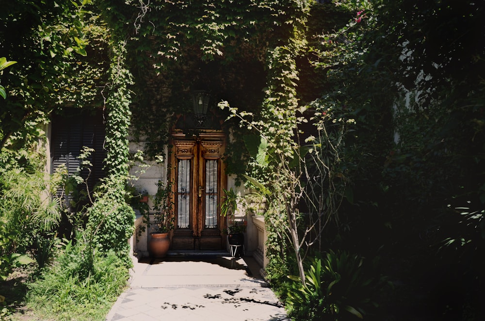 brown wooden gate near green trees during daytime