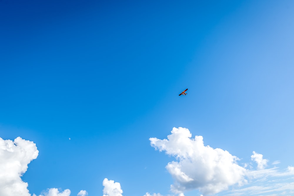 black bird flying under blue sky during daytime