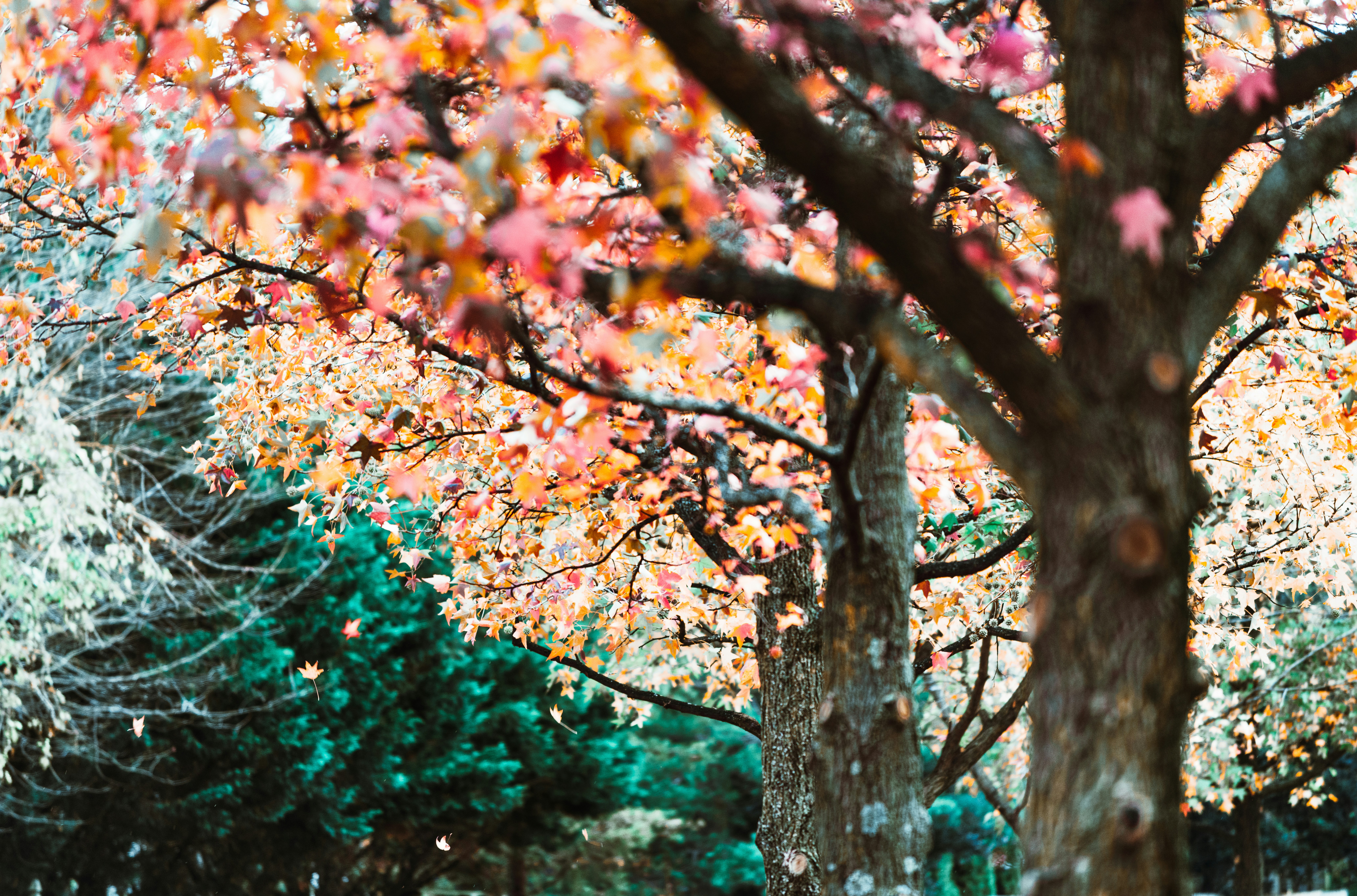 Photo by sriniunsplash