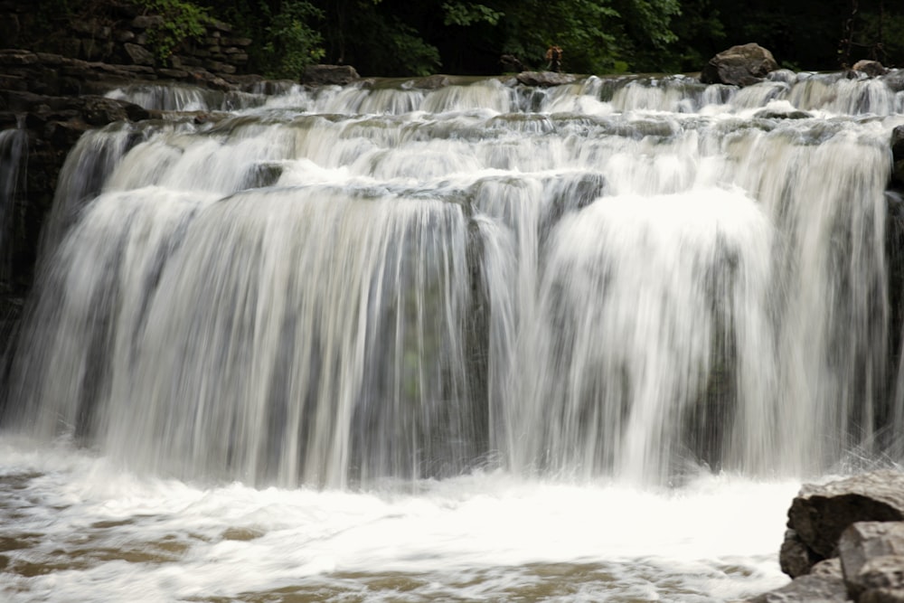 water falls in the forest