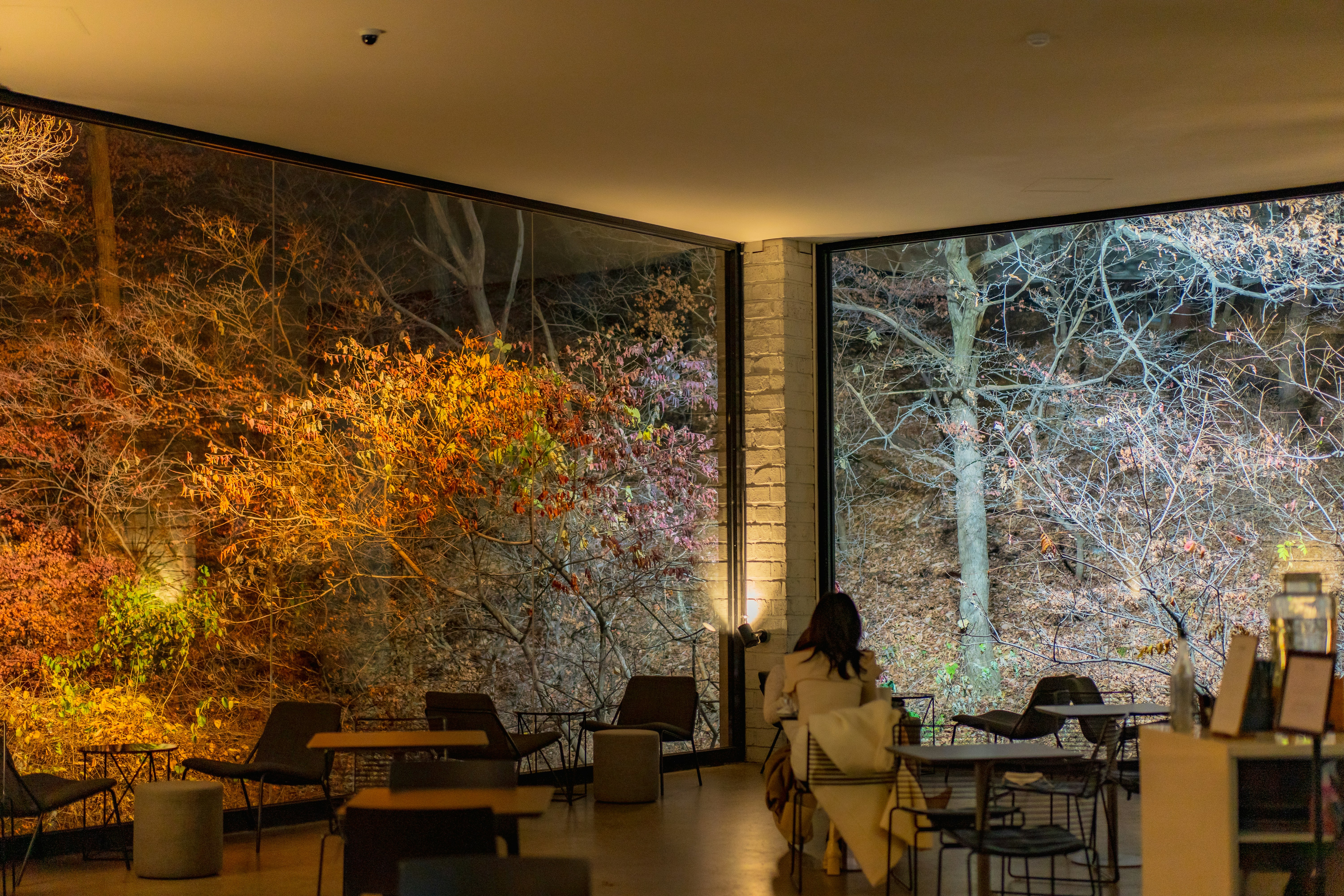 Laptop and coffee study image