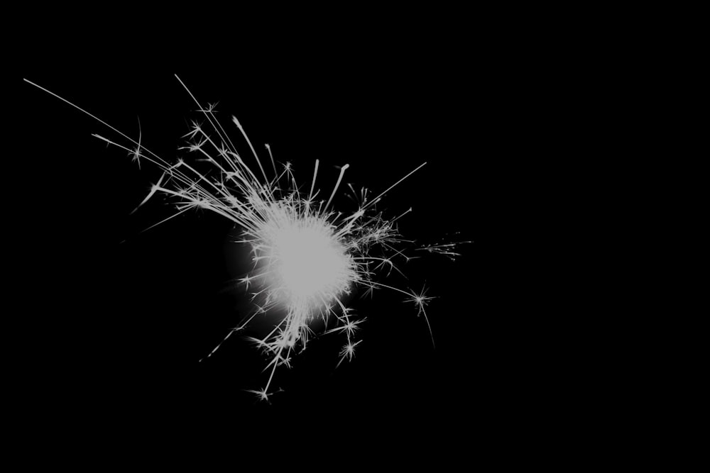 white fireworks in black background